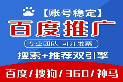 百度推广的投放策略与效果分析